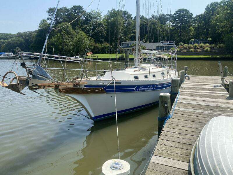 36ft Bayfield Yacht For Sale