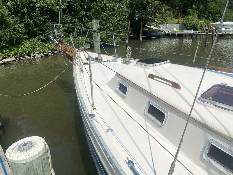 36ft Bayfield Yacht For Sale