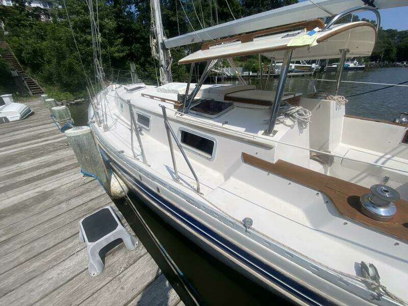 36ft Bayfield Yacht For Sale
