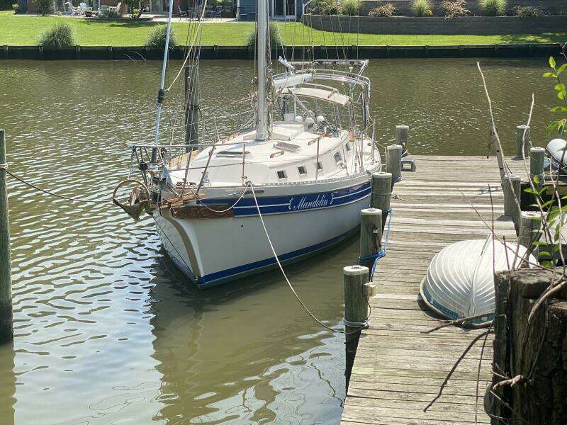36ft Bayfield Yacht For Sale