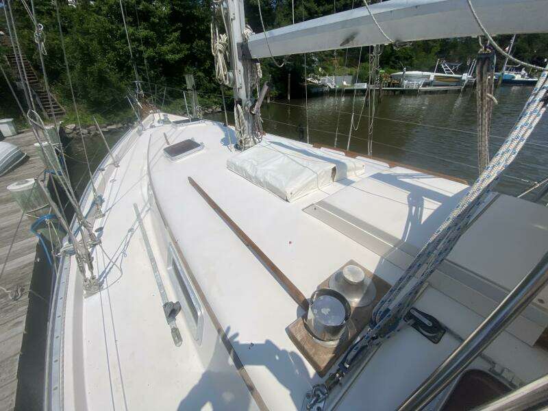 36ft Bayfield Yacht For Sale