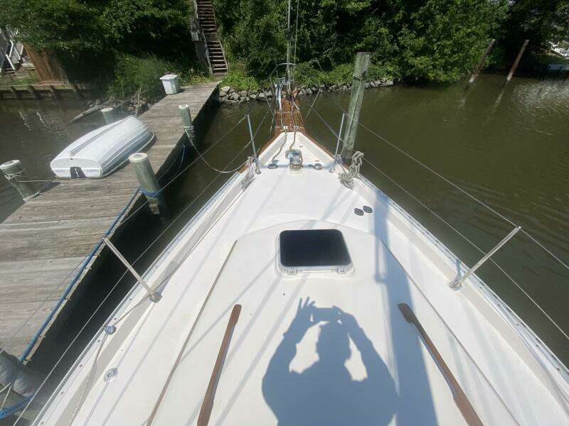 36ft Bayfield Yacht For Sale