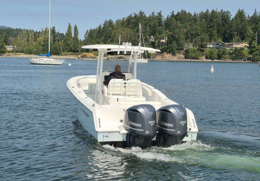 29ft Sea Hunt Yacht For Sale