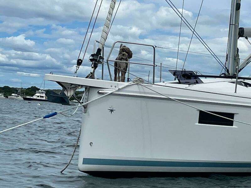 2020 Sun Odyssey 410