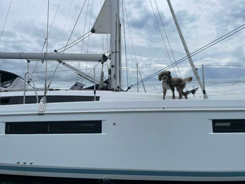 40' 2020 Jeanneau Sun Odyssey 410