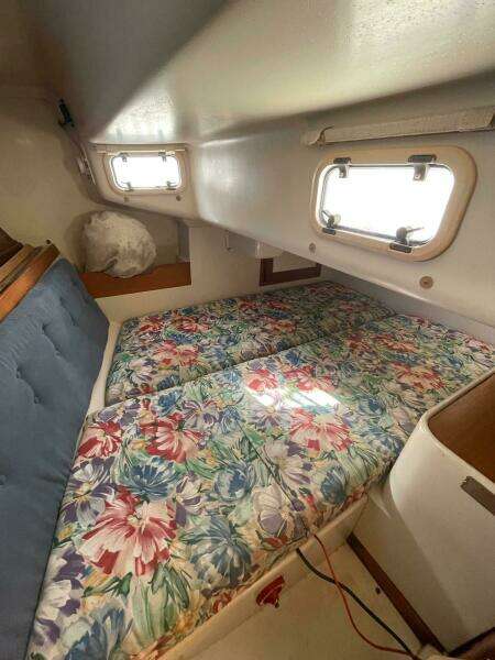 Water Wing 32ft Catalina Yacht For Sale