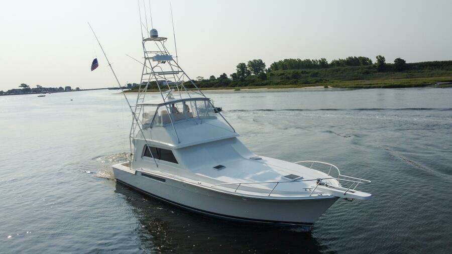 Reel Class 54ft Bertram Yacht For Sale