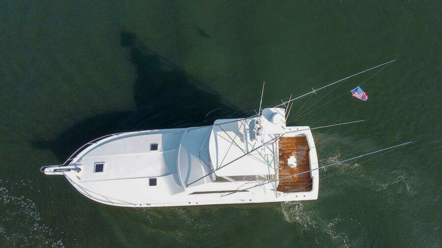 Reel Class 54ft Bertram Yacht For Sale
