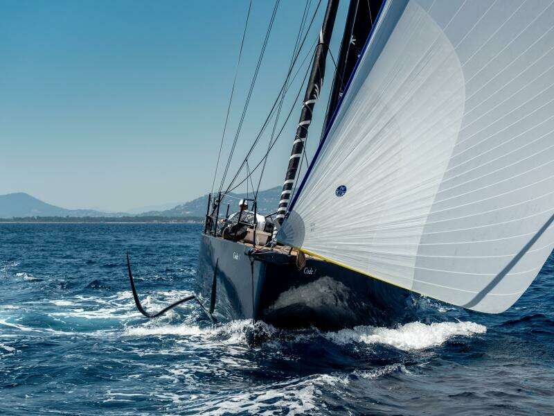 44ft Black Pepper Yacht For Sale