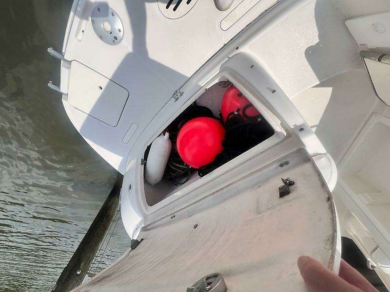 0005302931