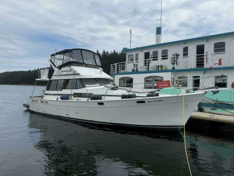 Shelter Belle 38ft Bayliner Yacht For Sale