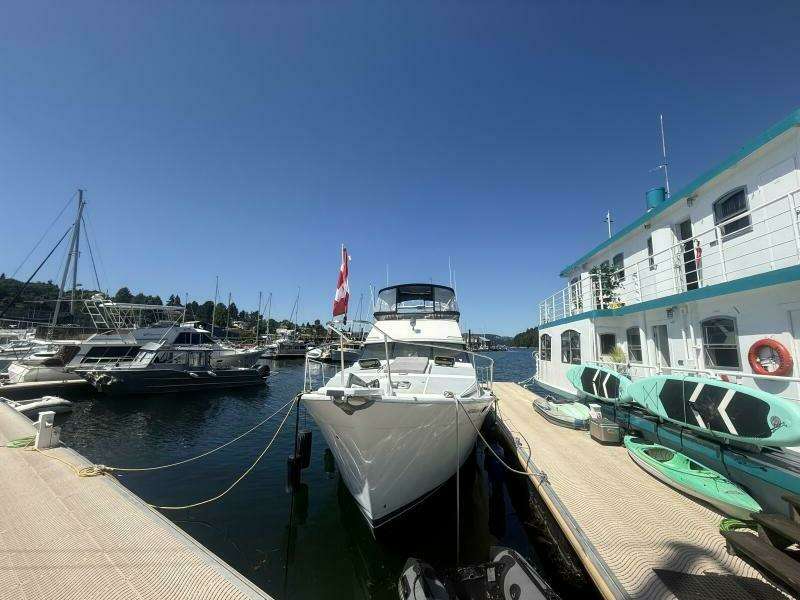 Shelter Belle 38ft Bayliner Yacht For Sale