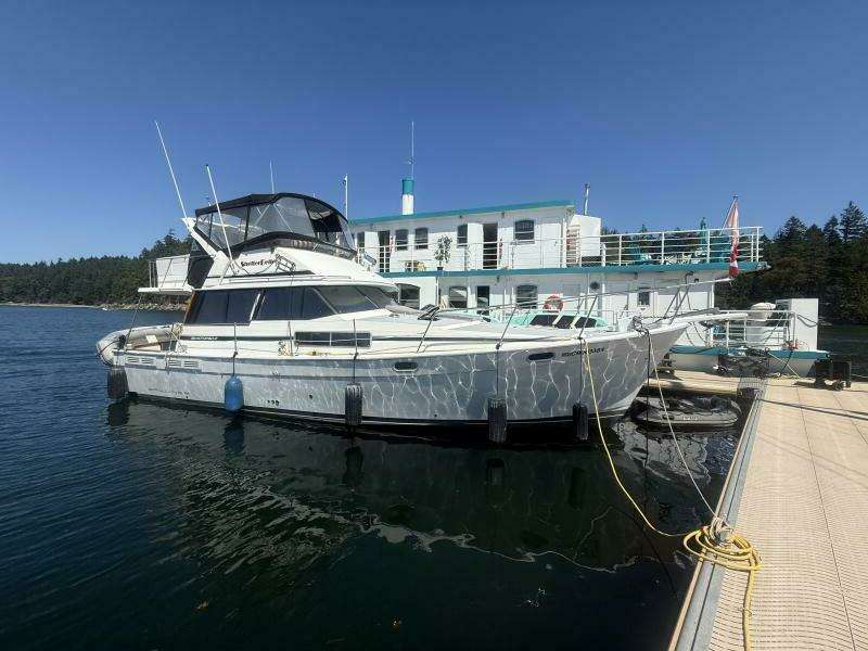 Shelter Belle 38ft Bayliner Yacht For Sale