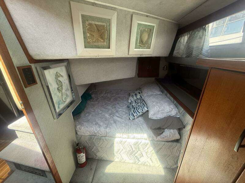 Shelter Belle 38ft Bayliner Yacht For Sale