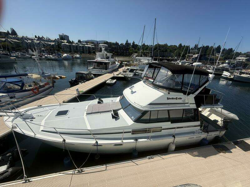 Shelter Belle 38ft Bayliner Yacht For Sale
