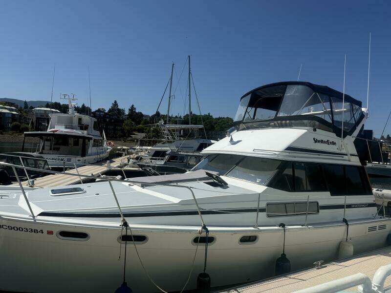 Shelter Belle 38ft Bayliner Yacht For Sale