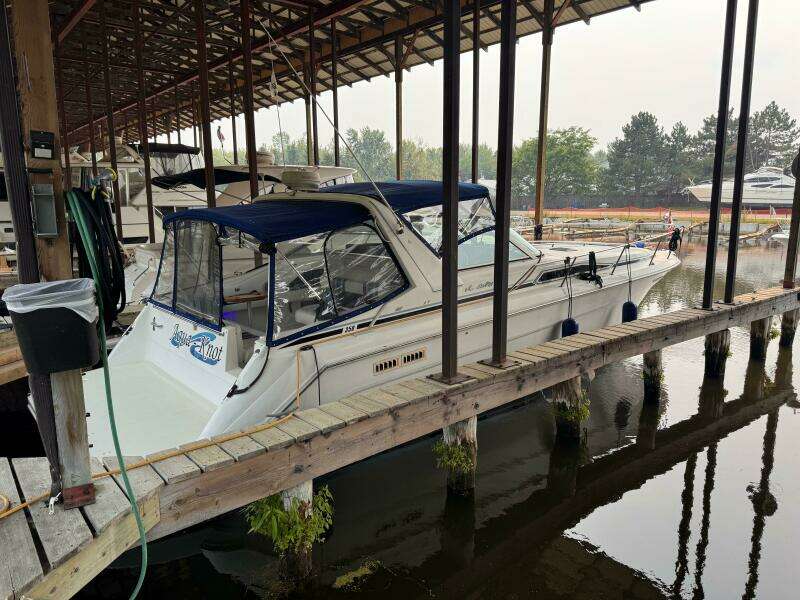 35ft Sea Ray Yacht For Sale