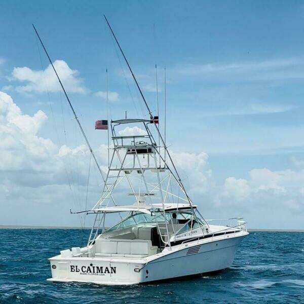 El Caiman  46ft Bertram Yacht For Sale