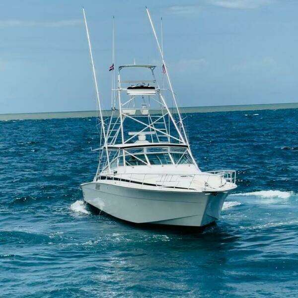 El Caiman  46ft Bertram Yacht For Sale