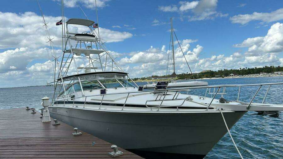 El Caiman  46ft Bertram Yacht For Sale