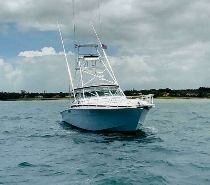 El Caiman  46ft Bertram Yacht For Sale