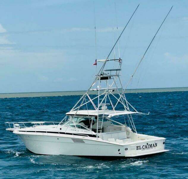 El Caiman  46ft Bertram Yacht For Sale