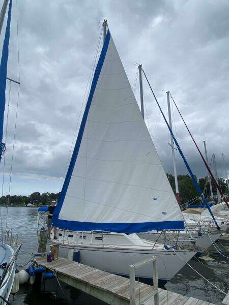 32ft Morgan Yacht For Sale