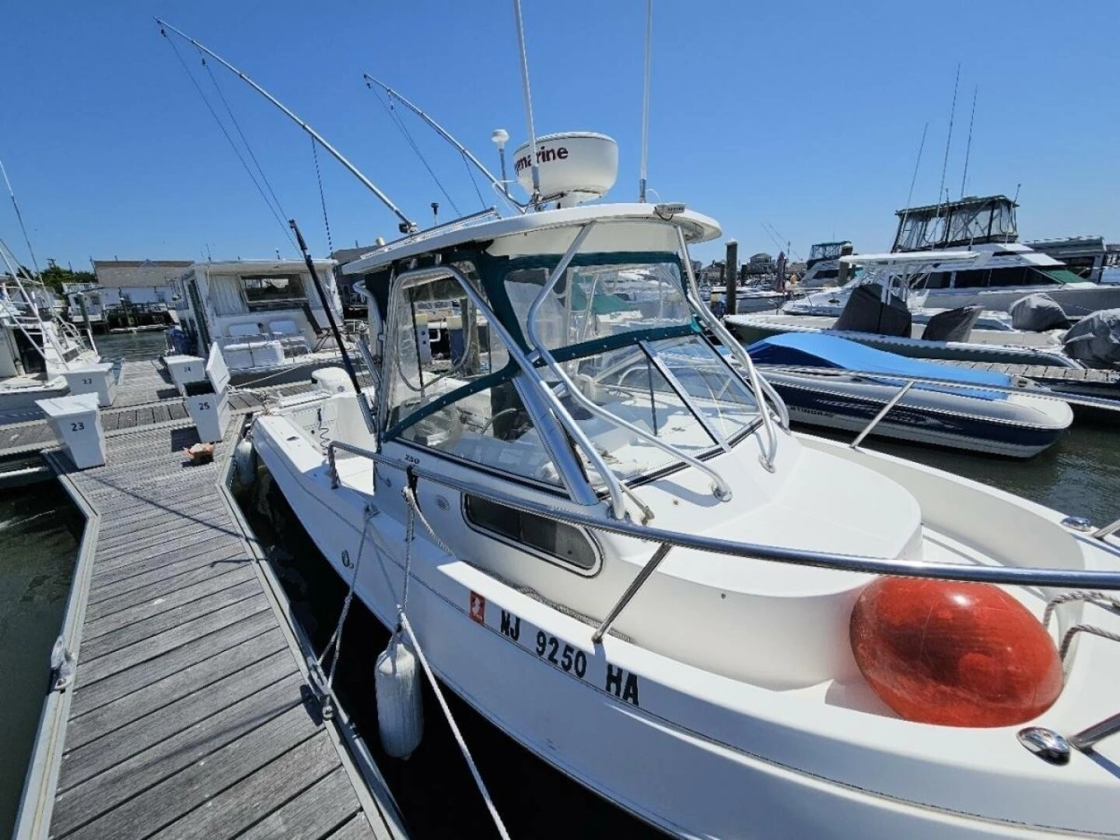 2001 Aquasport 250 Explorer