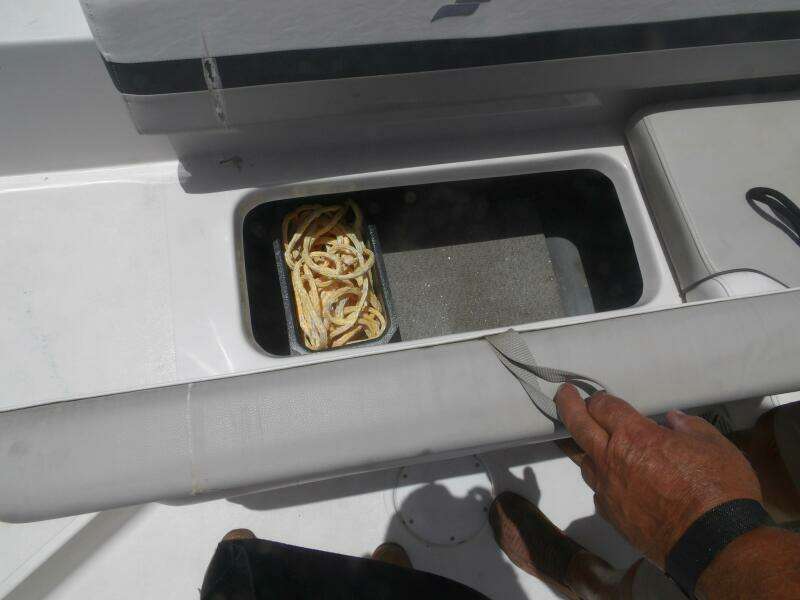 21ft Starcraft Yacht For Sale