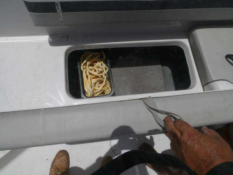 21ft Starcraft Yacht For Sale