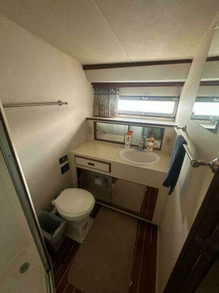 Jeanine 42ft Bertram Yacht For Sale