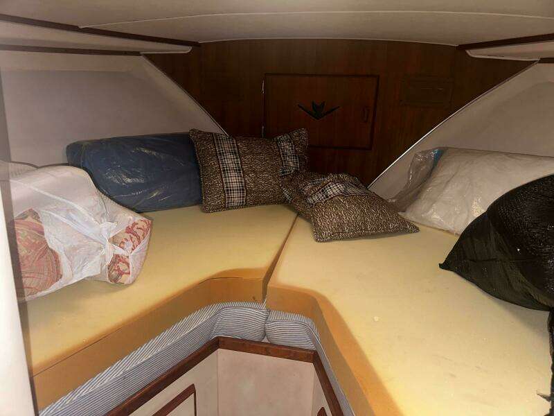 Jeanine 42ft Bertram Yacht For Sale