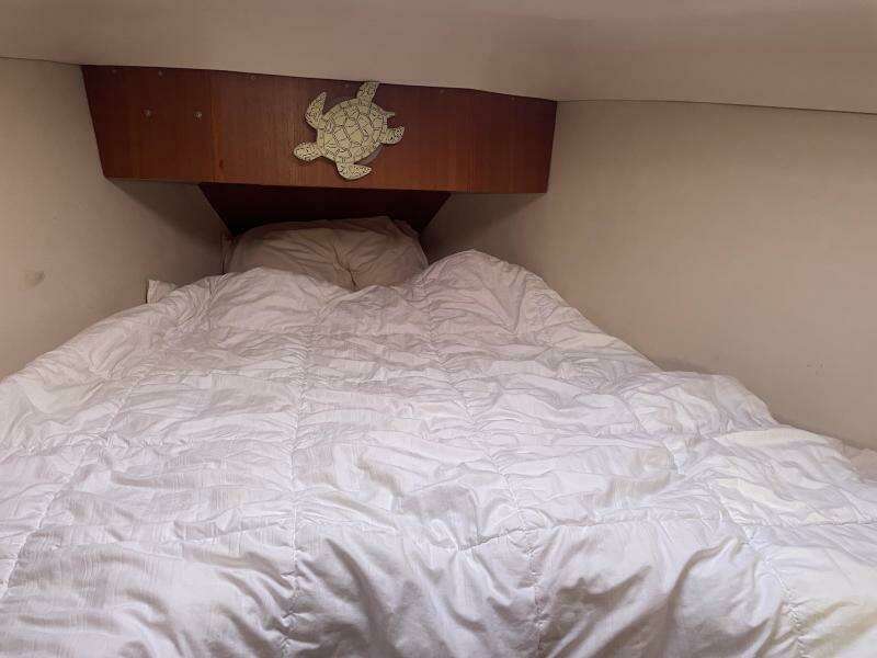 V Berth