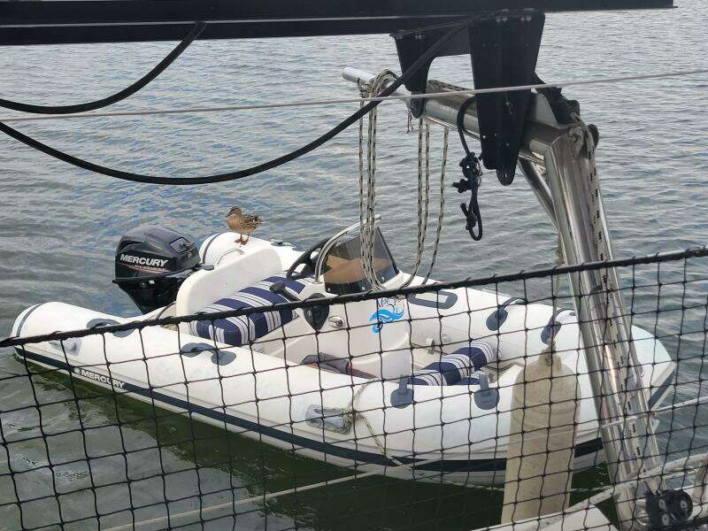 2011-lagoon-450-sail-9754303-20250410174927944-1_XLARGE.jpg