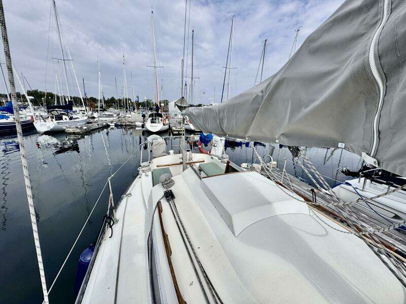 30ft C amp C Yacht For Sale