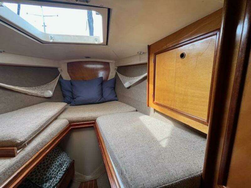 39ft Chaser Yachts Yacht For Sale