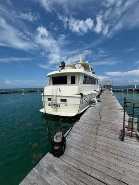 Used Power Monohull for sale