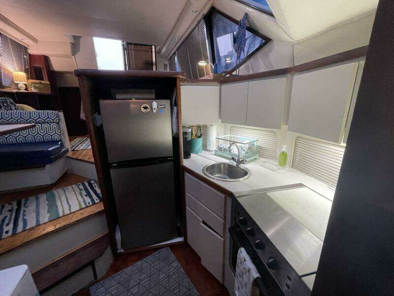 Carmina Purrana 33ft Carver Yacht For Sale