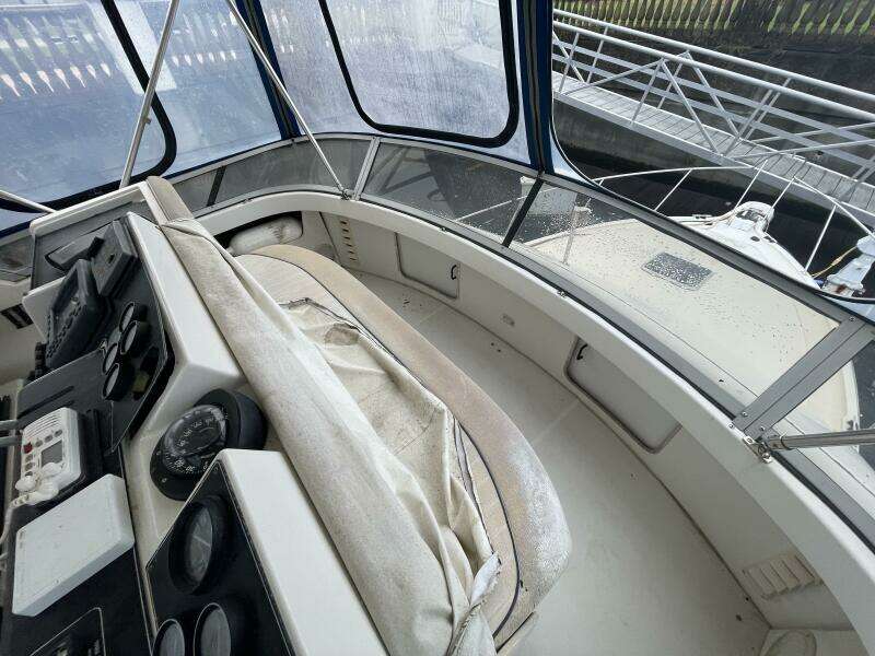 Carmina Purrana 33ft Carver Yacht For Sale