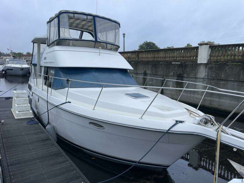 Carmina Purrana 33ft Carver Yacht For Sale