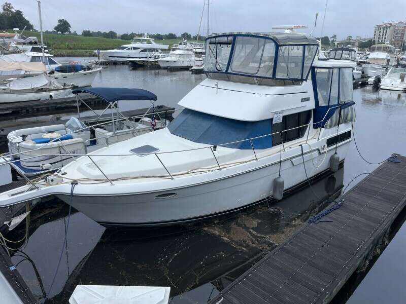 Carmina Purrana 33ft Carver Yacht For Sale