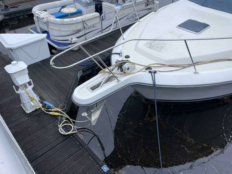 Carmina Purrana 33ft Carver Yacht For Sale