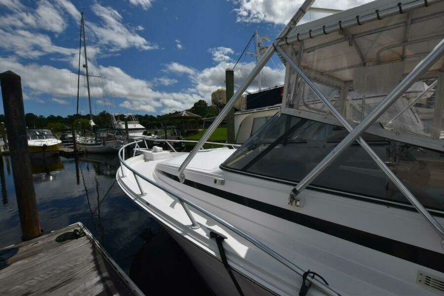 31ft Blackfin Yacht For Sale