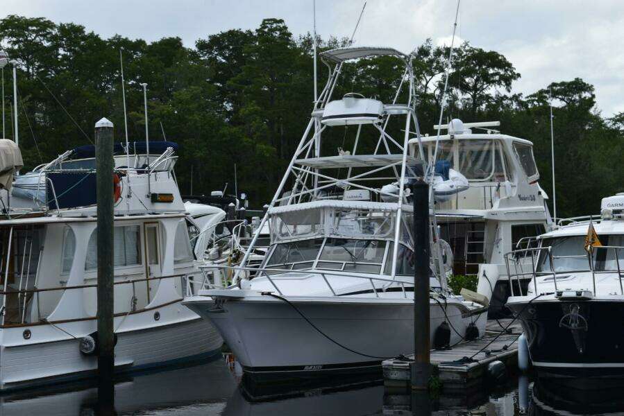 31ft Blackfin Yacht For Sale