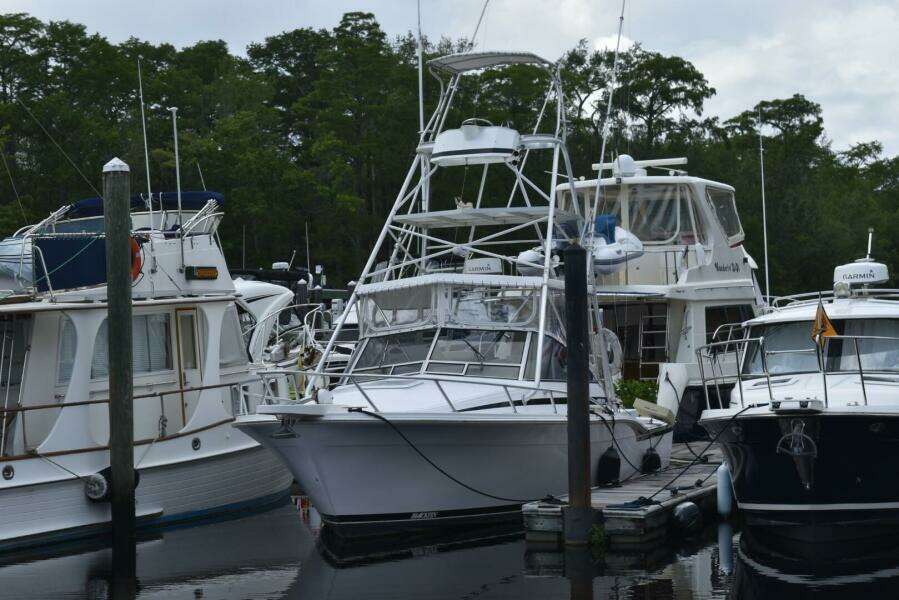 31ft Blackfin Yacht For Sale