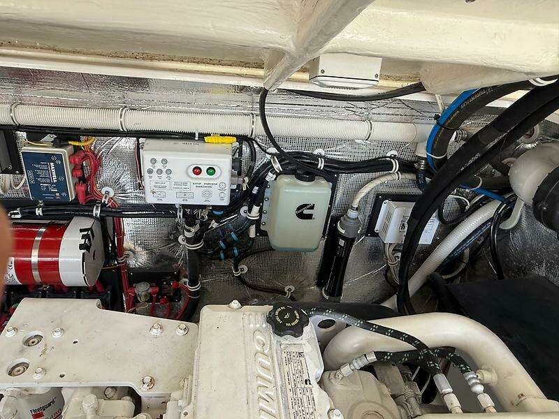 0005317555