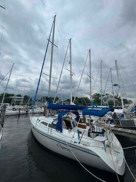 Osprey 32ft Catalina Yacht For Sale