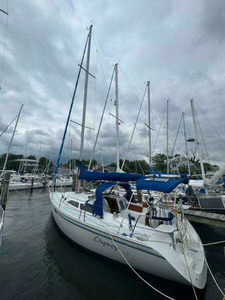 Osprey 32ft Catalina Yacht For Sale