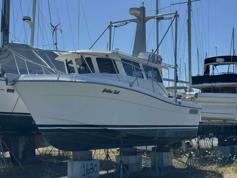 GOLDEN TROLL 30ft Ocean Sport Yacht For Sale