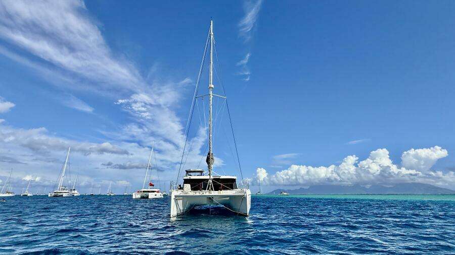 Raven 45ft Leonard Yacht For Sale